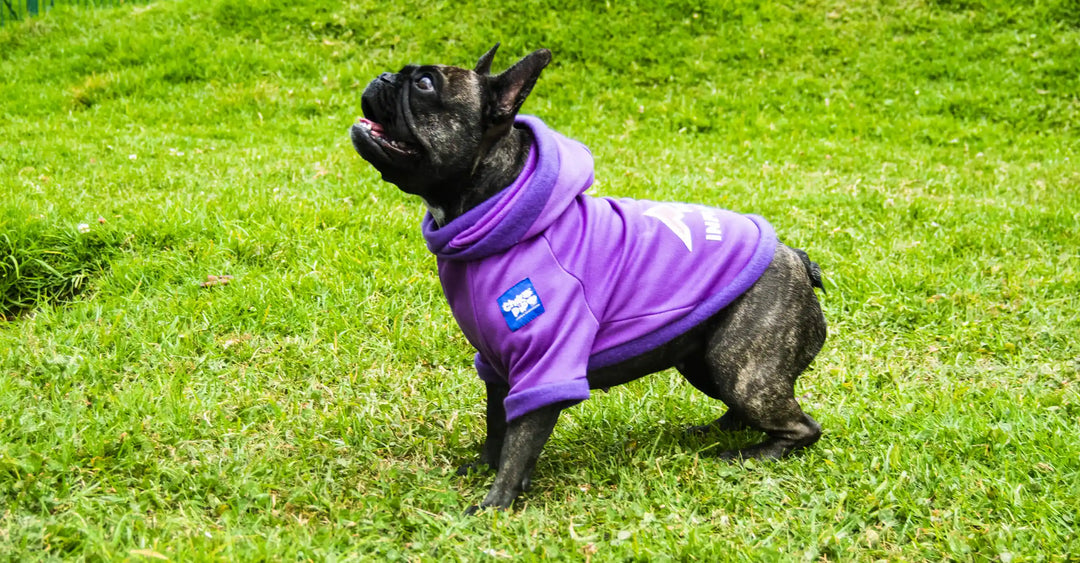Hoodies-perros-1-chikopipo