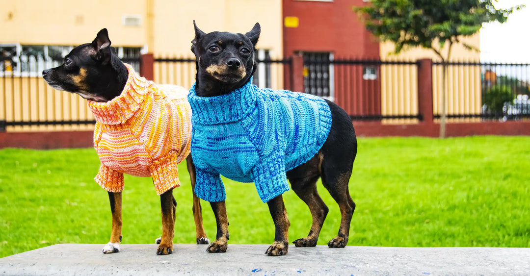 sueteres-para-perritos-77-chikopipo