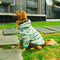Buzo-perro-camuflado#color_verde