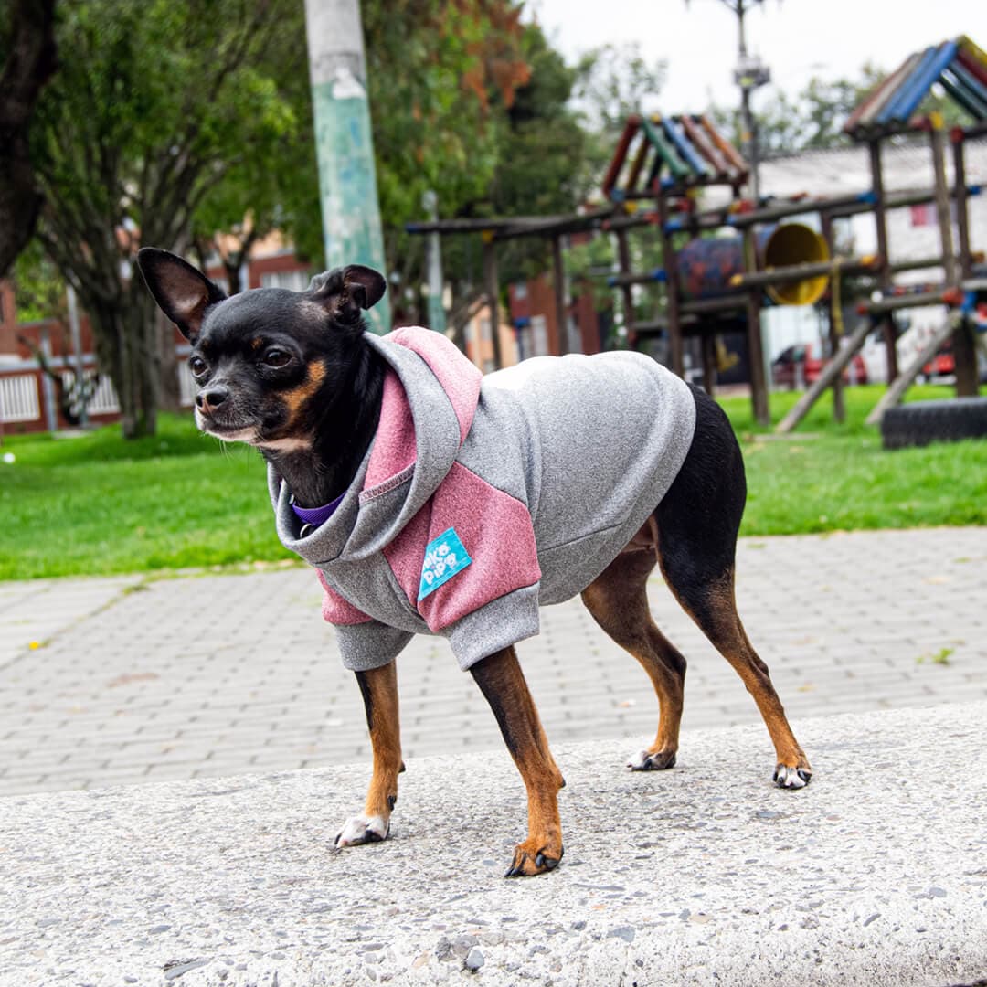 Buzo-perro-copito