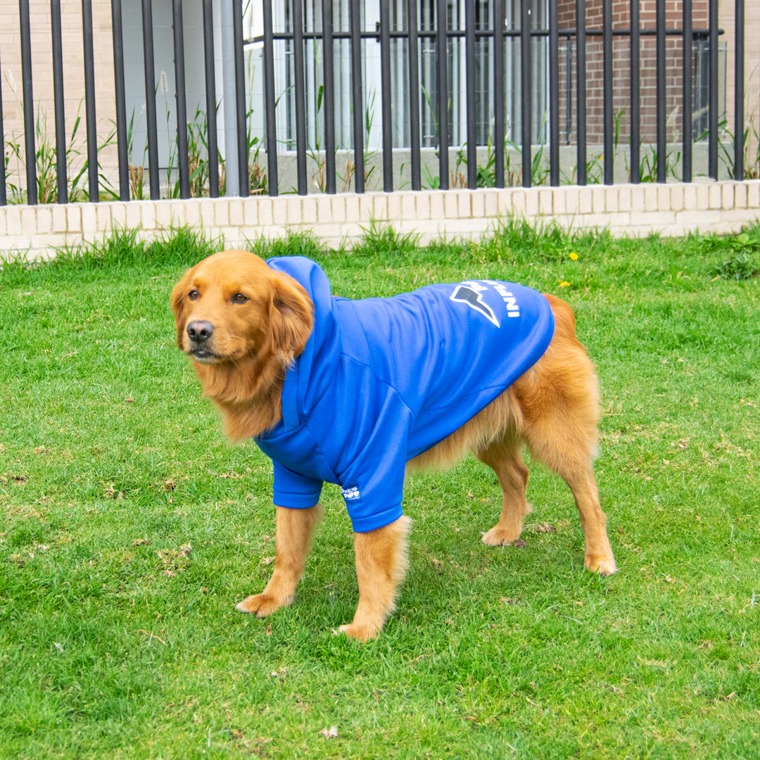 Buzo-perro-influencer