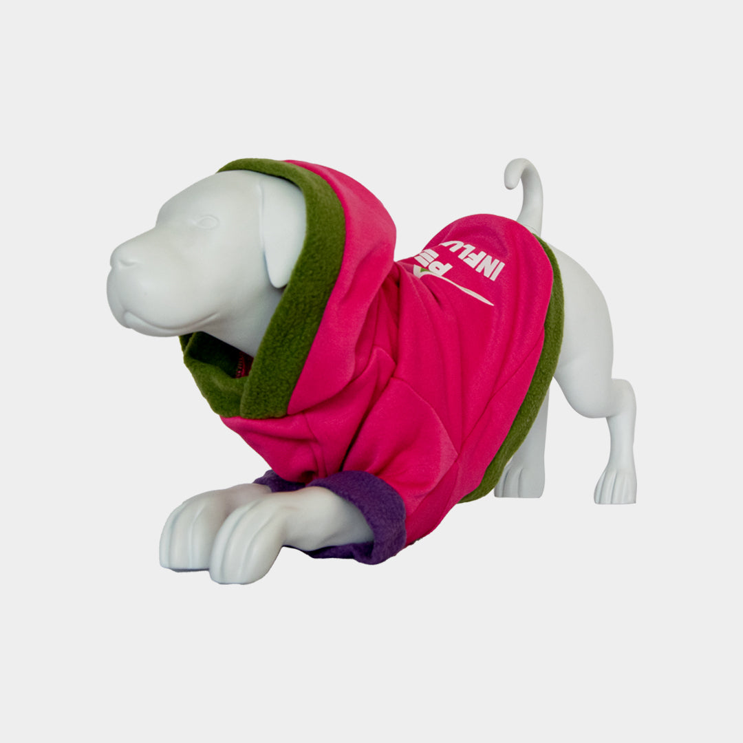 Buzo-perro-influencer