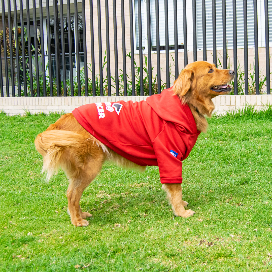 Buzo-perro-influencer