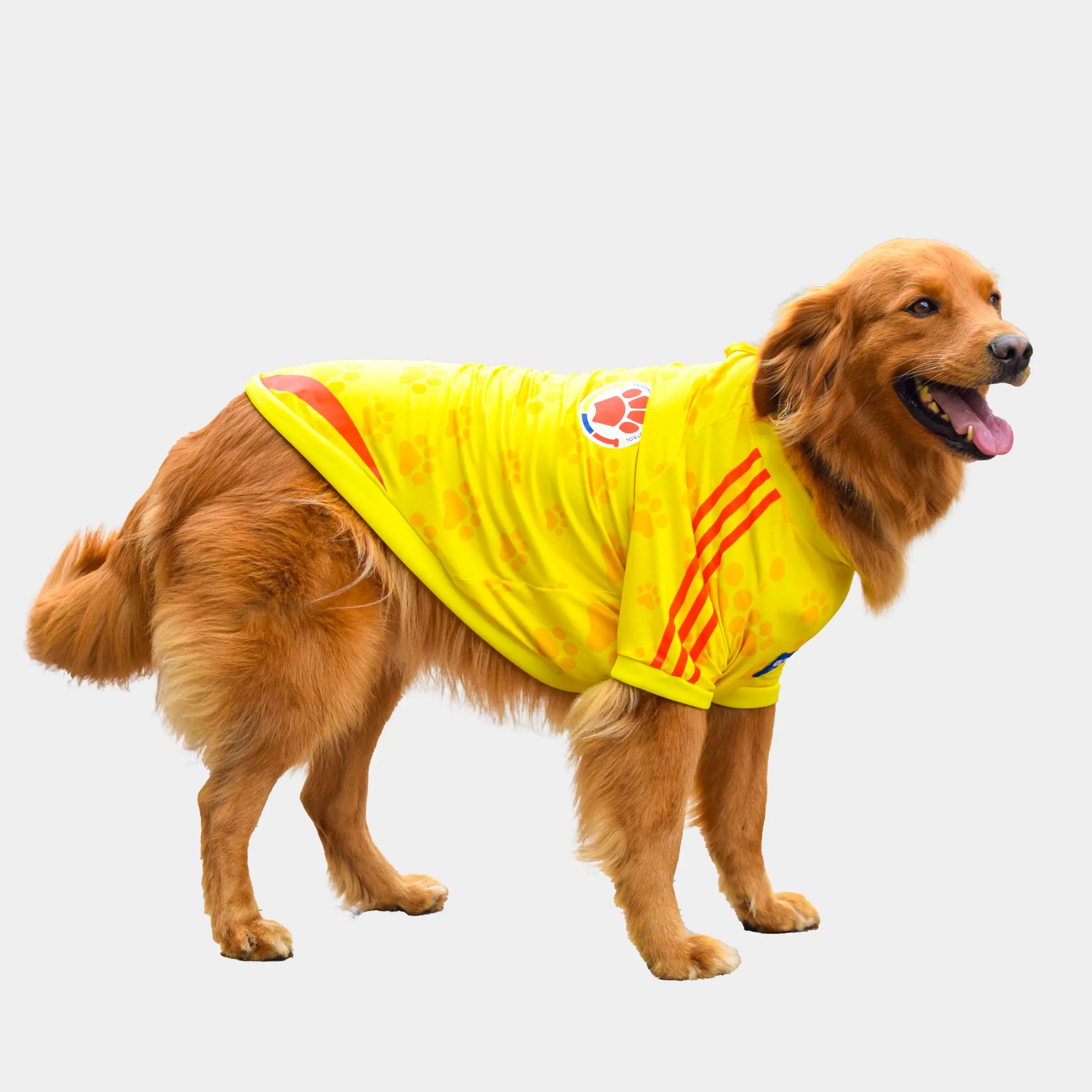 camiseta-colombia-perro-grande-06-chikopipo
