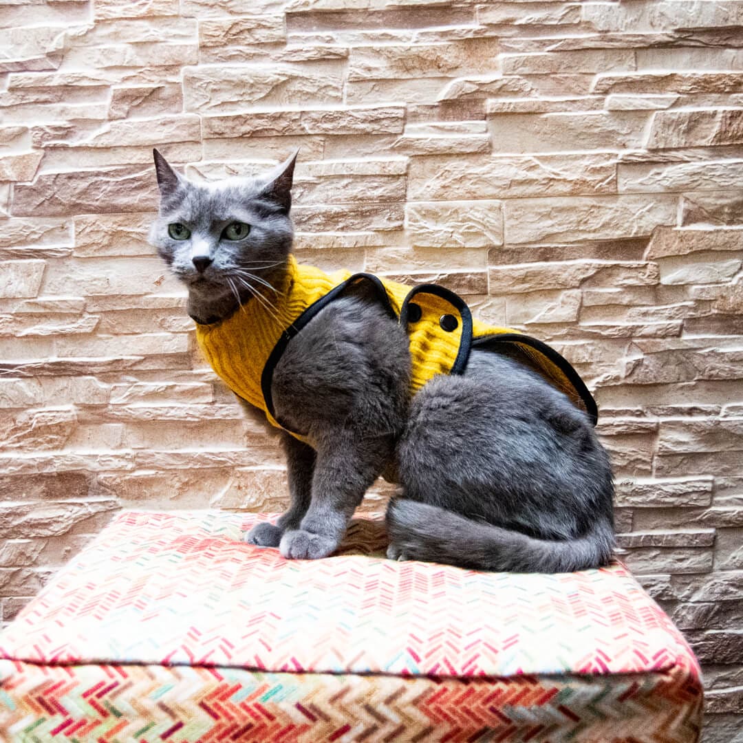 Chaleco-gato-michin