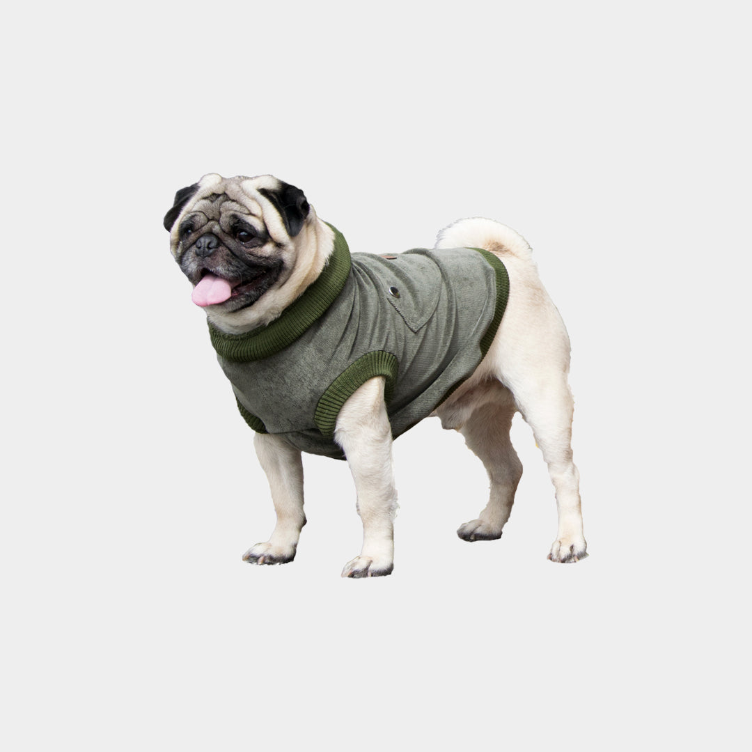 Chaleco-perro-pierre