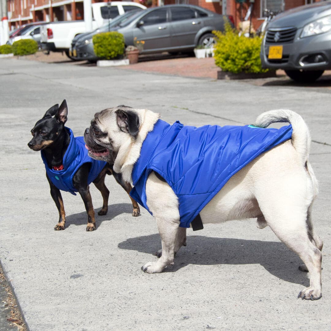 Chaleco-perro-woof3b