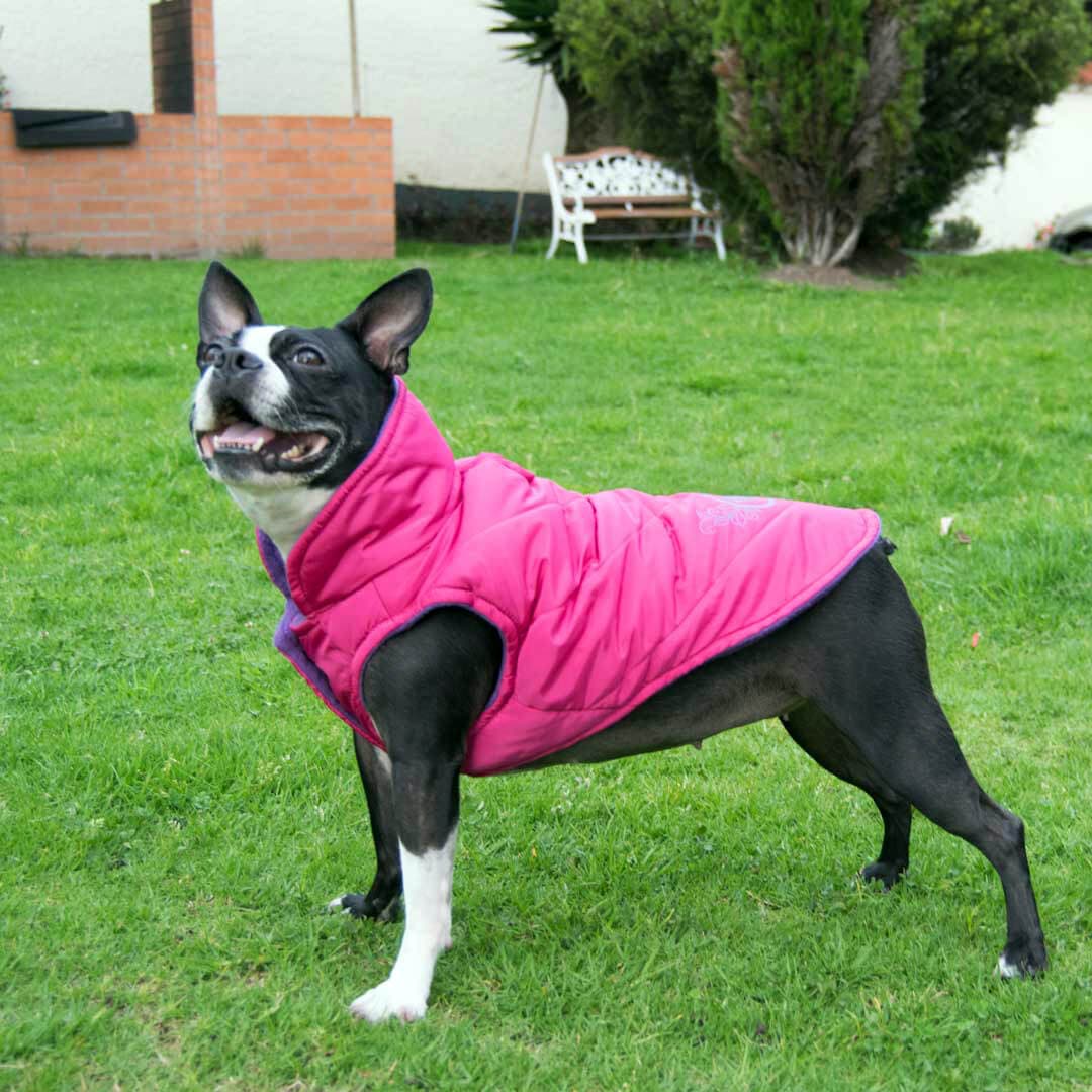 Chaleco-perro-woof3b
