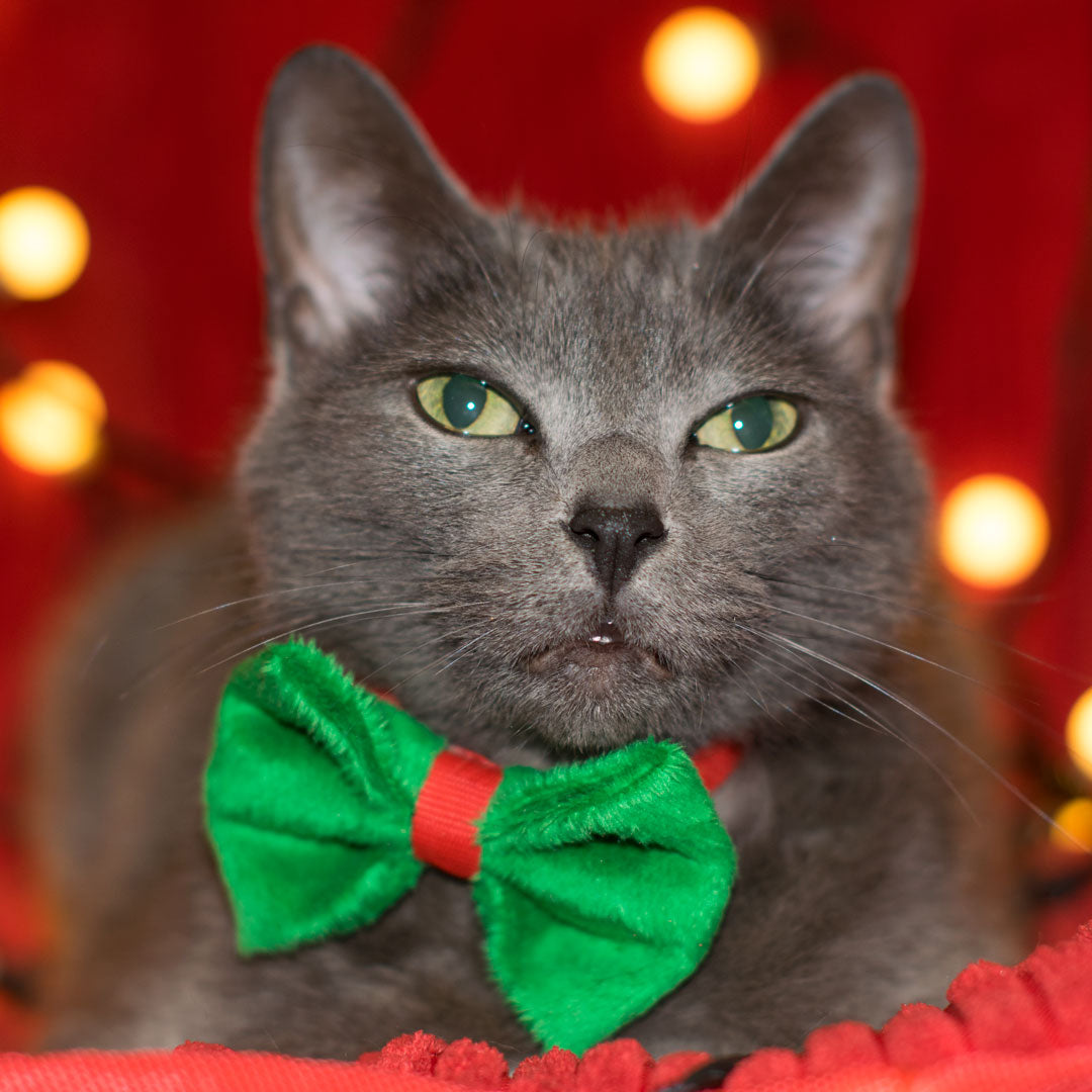 Corbatin-navidad#color_verde