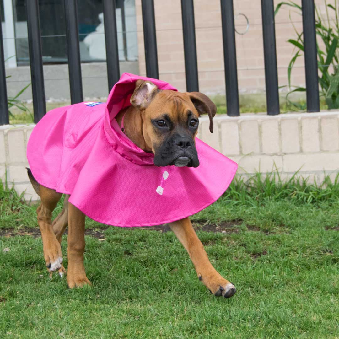 Impermeable-perro