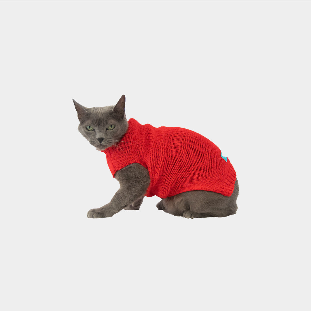 Sueter-gato-one