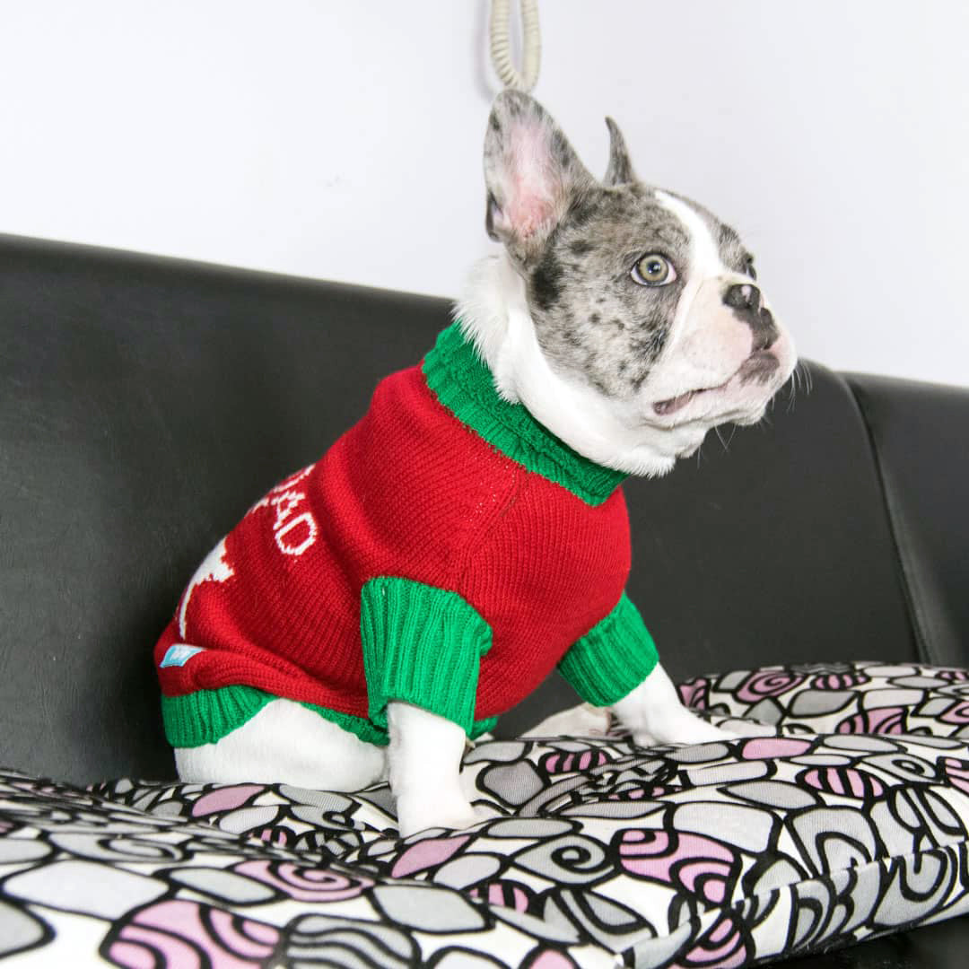 Suéter navidad Renos gemelos