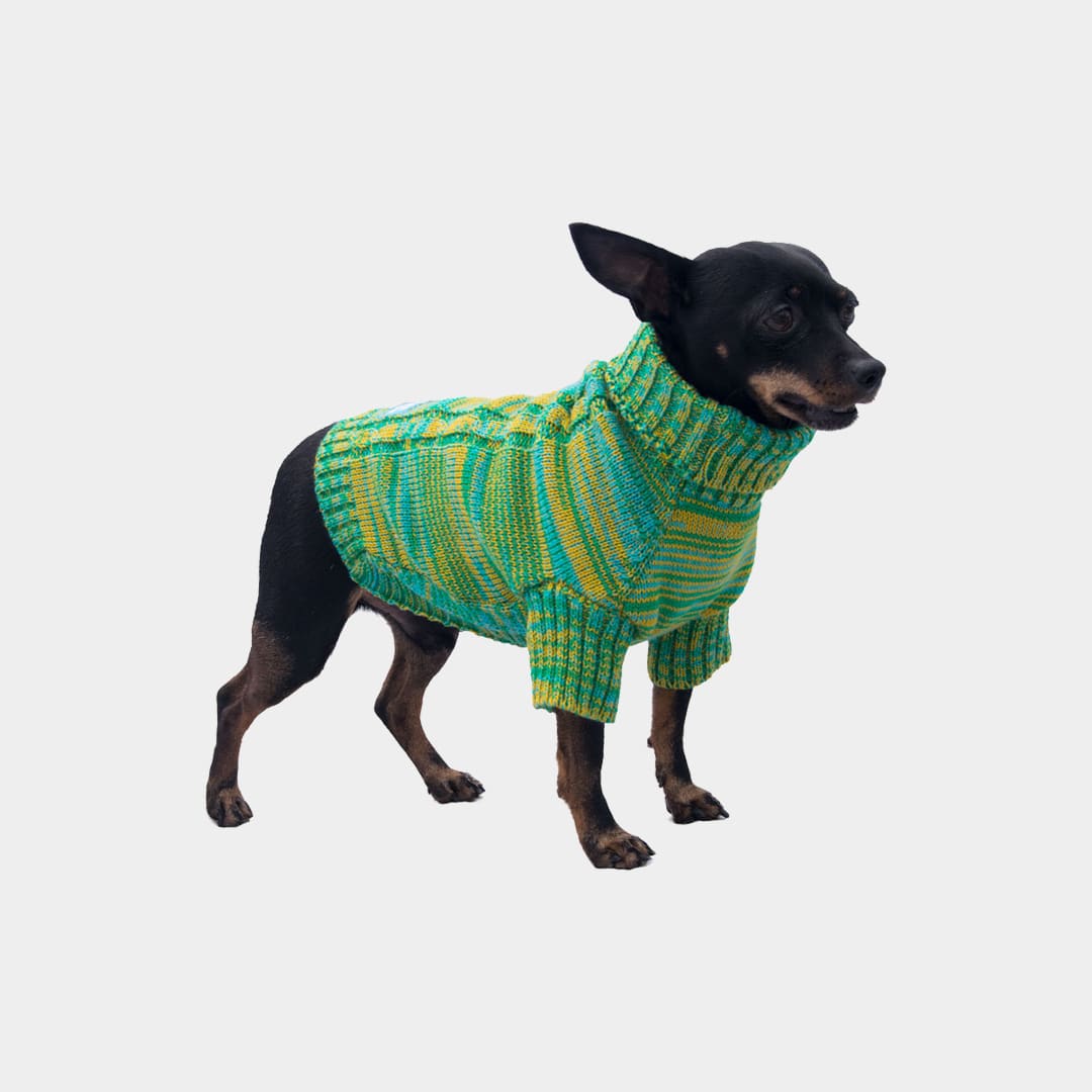 Sueter-perro-11D