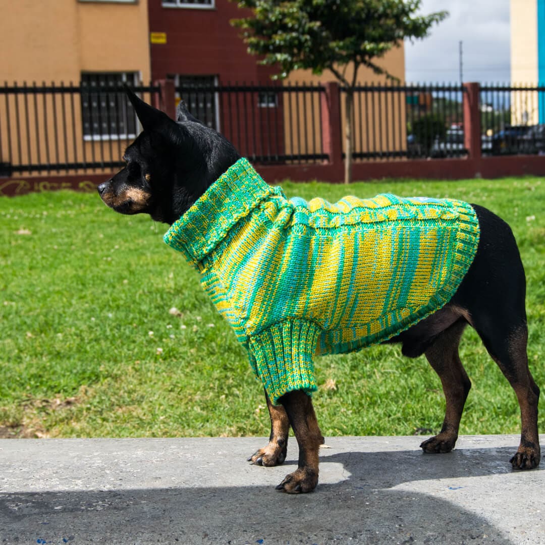 Sueter-perro-11D