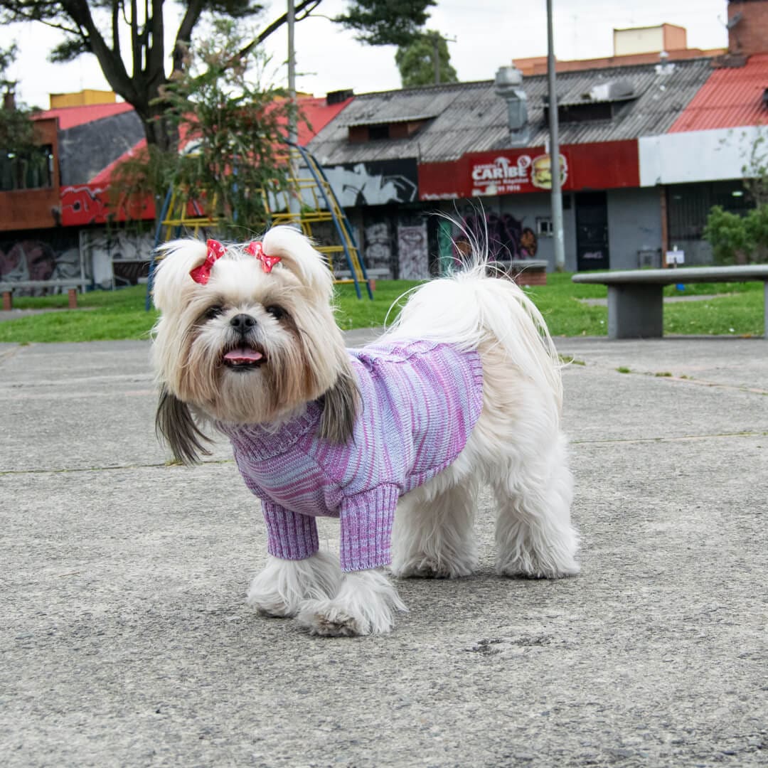 Sueter-perro-12D