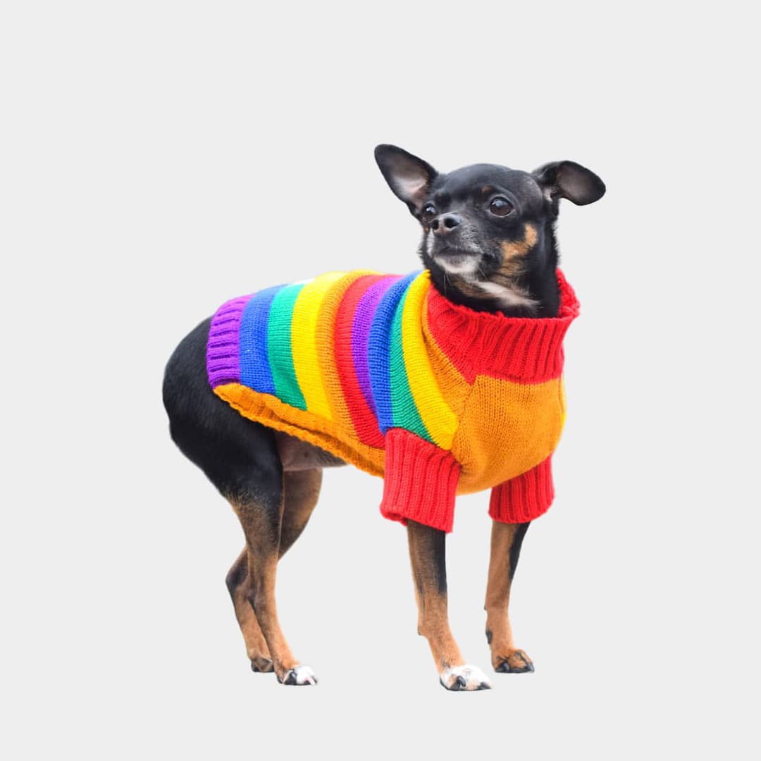 Sueter_perro_Arcoiris