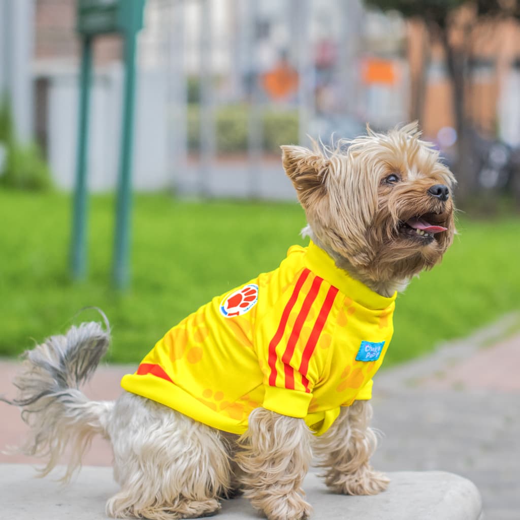 Camiseta perro Colombia