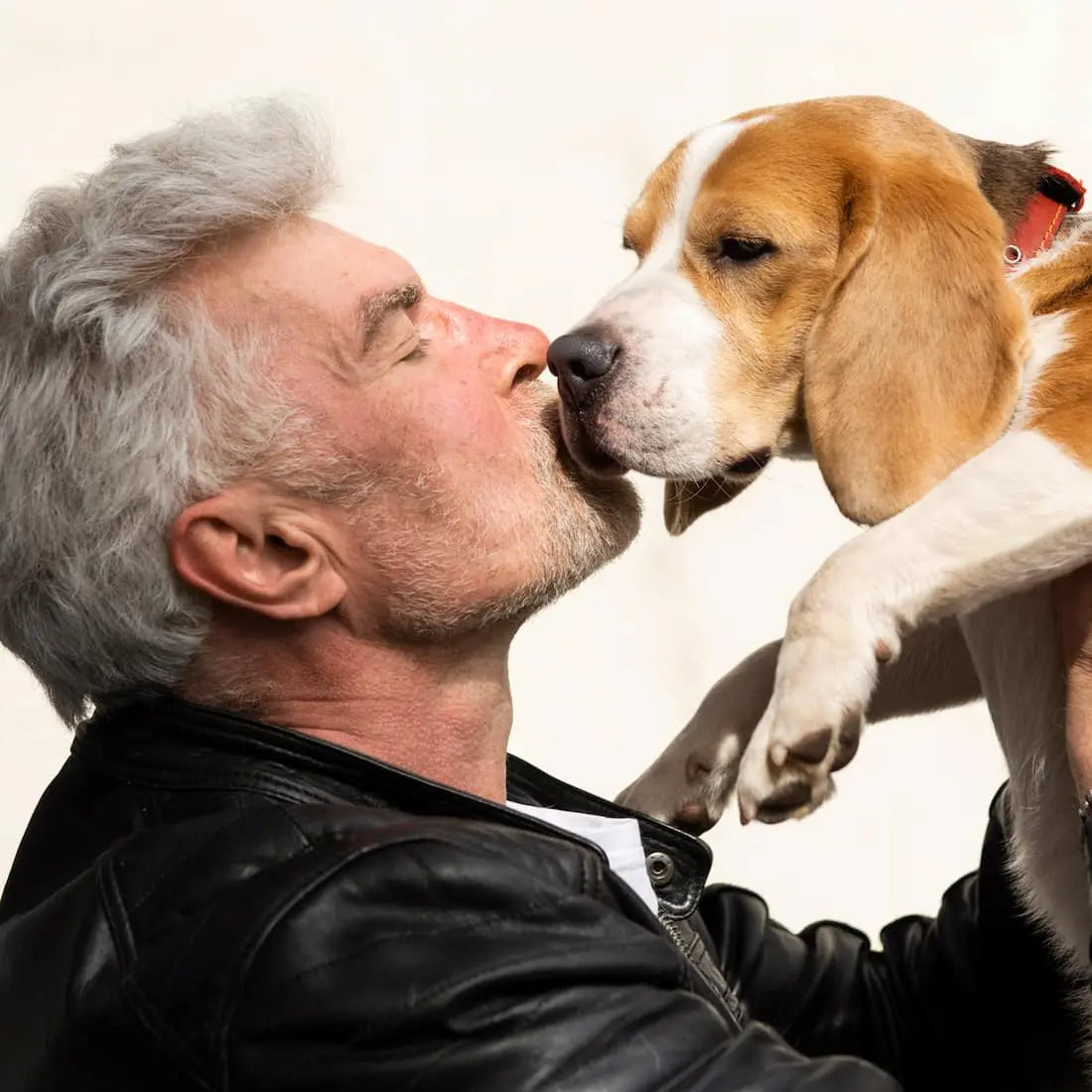 Feliz Día del Padre Perruno, celebrando a los héroes papás y sus mejores amigos