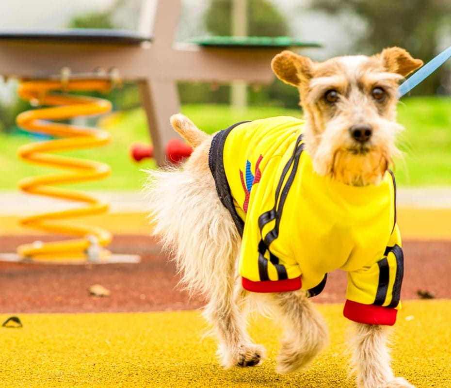 Camiseta-selección-colombia-77-chikopipo