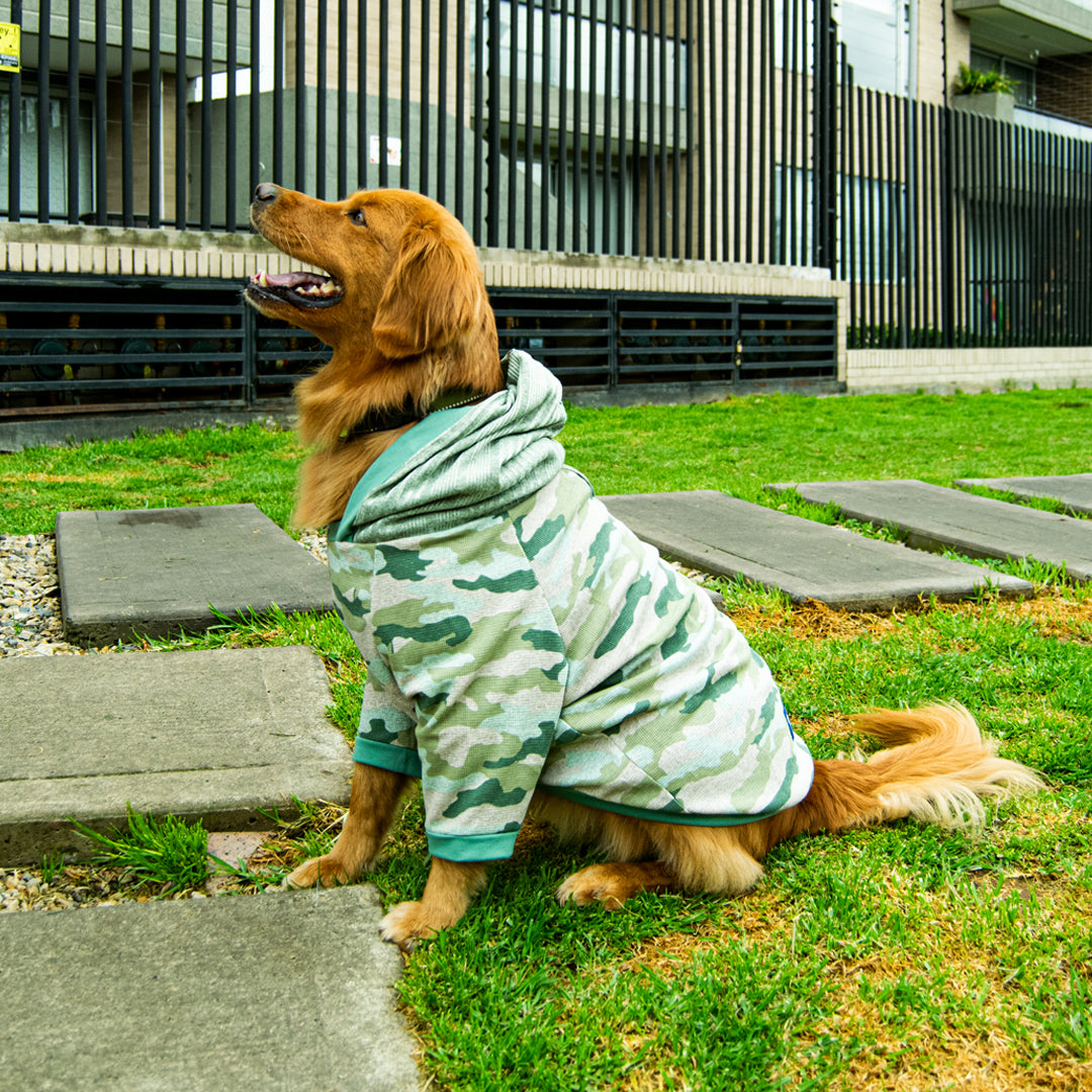 Buzo-perro-camuflado#color_verde