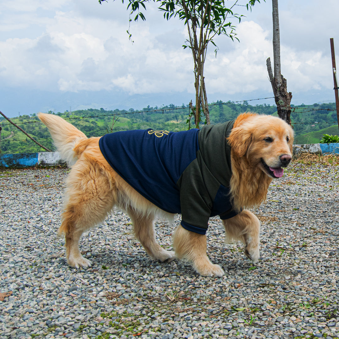 Buzo-perro-capitan#color_azul
