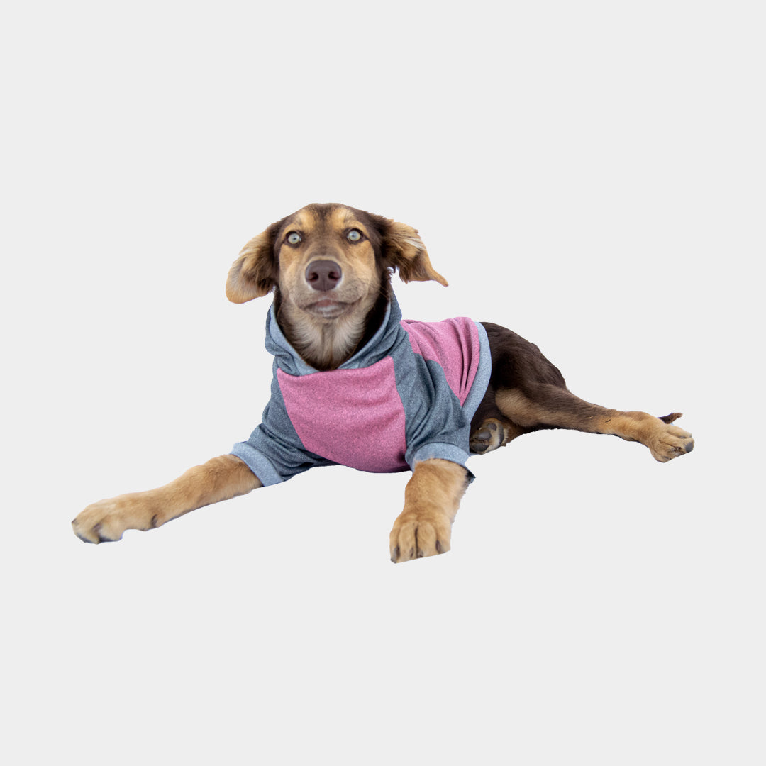 Buzo-perro-capitan#color_rosa