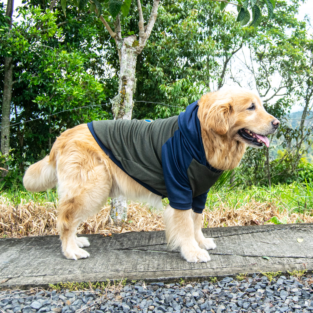 Buzo-perro-capitan#color_verde