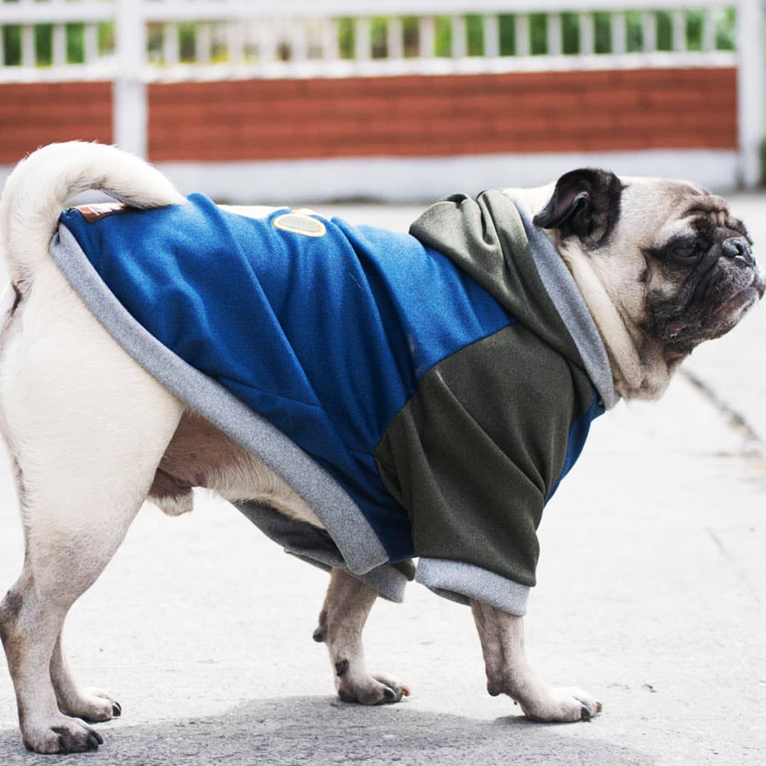 Buzo-perro-capitan#color_azul
