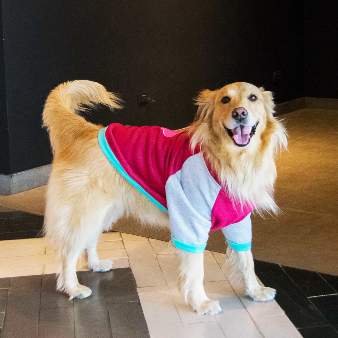 Buzo-perro-corazon#color_vinotinto