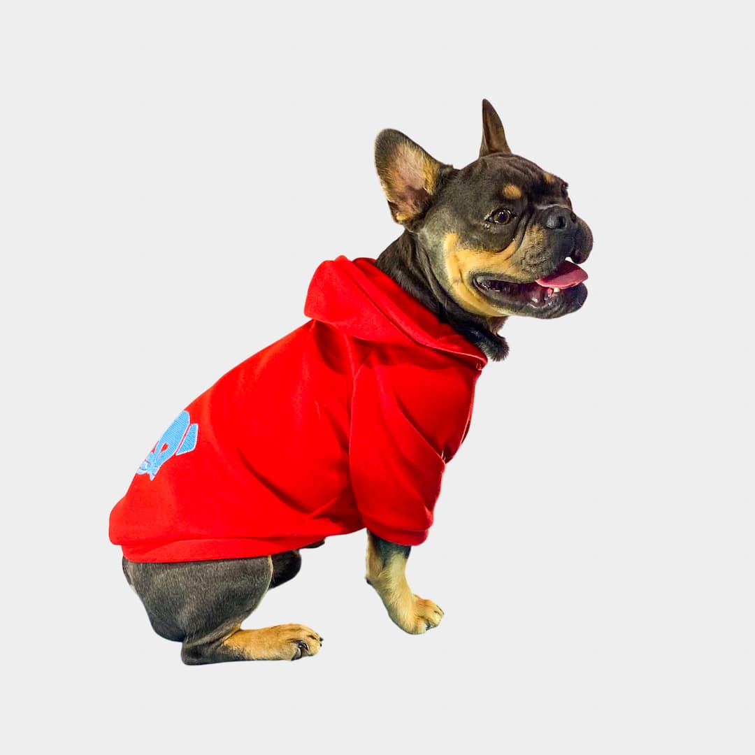 Buzo-perro-francés#color_rojo
