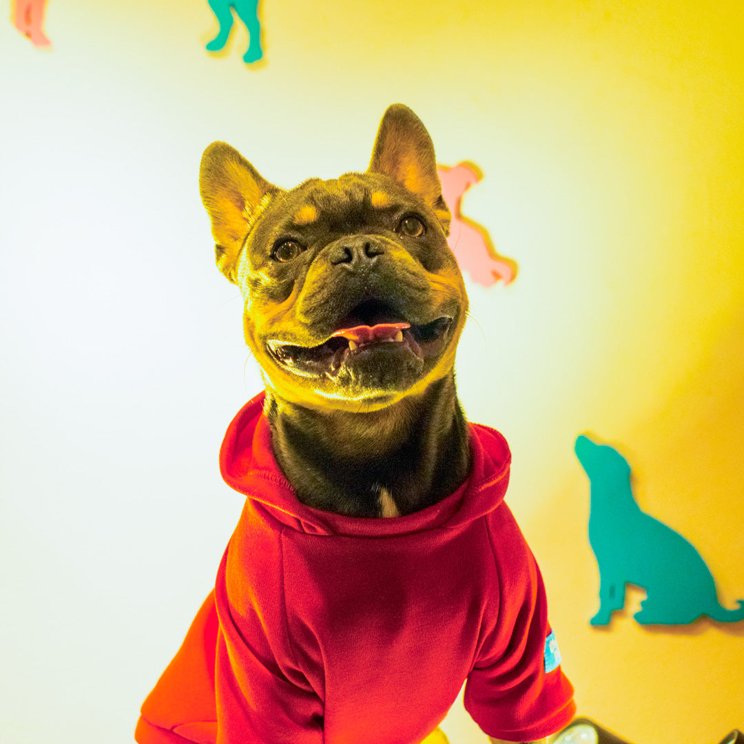 Buzo-perro-francés#color_rojo