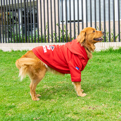 Buzo-perro-influencer