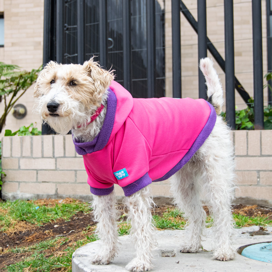 Buzo-perro-lunita#color_fucsia