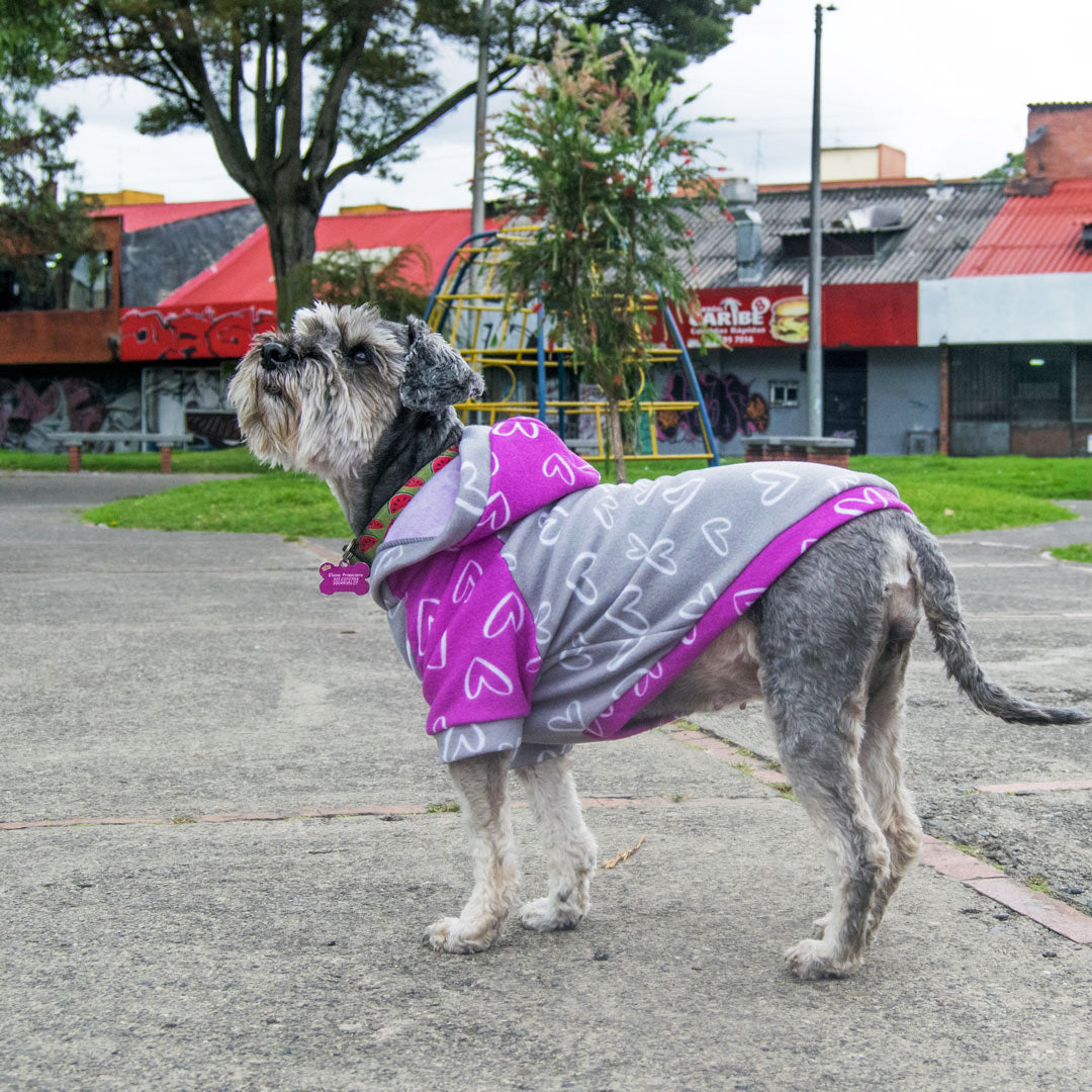 Buzo-perro-minicorazones#color_gris