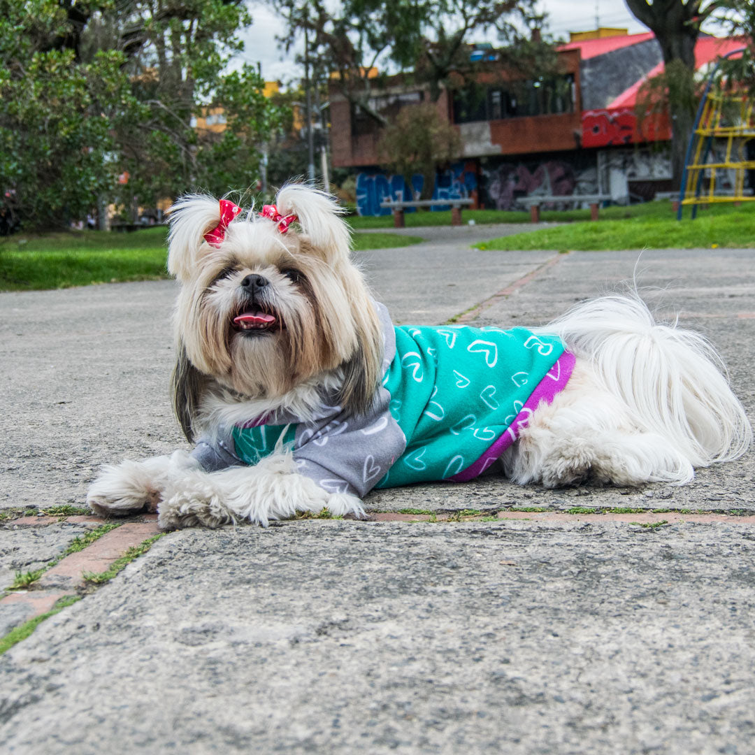 Buzo-perro-minicorazones#color_verde