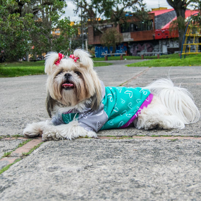 Buzo-perro-minicorazones