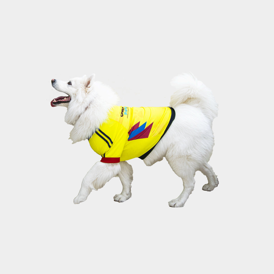 Camiseta perro Colombia Classic