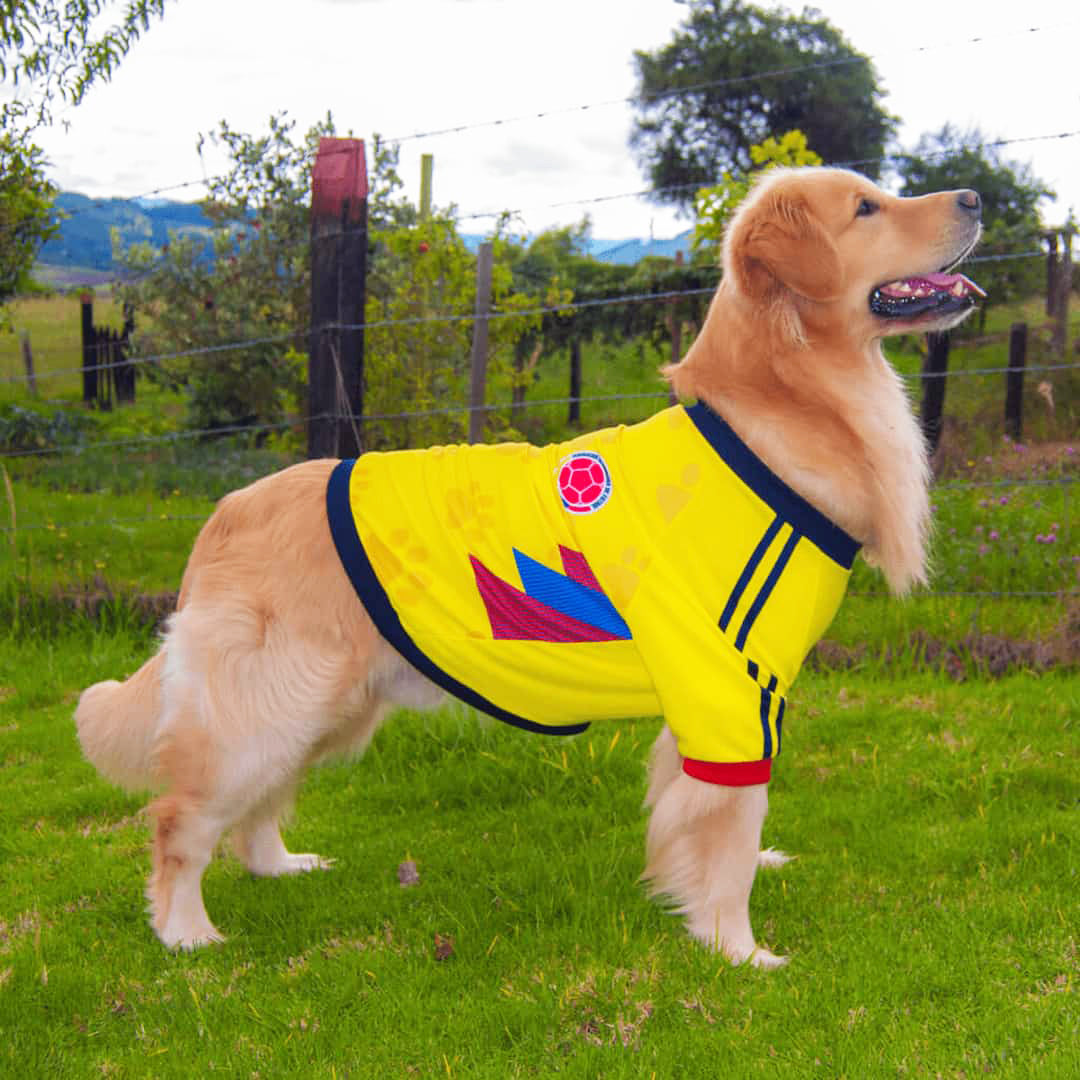 Camiseta perro Colombia Classic