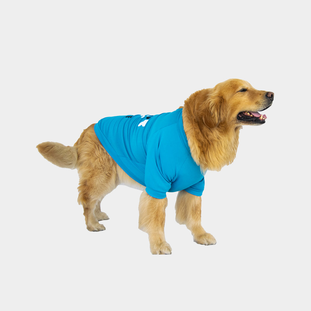 Camiseta doglove#color_azul-celeste