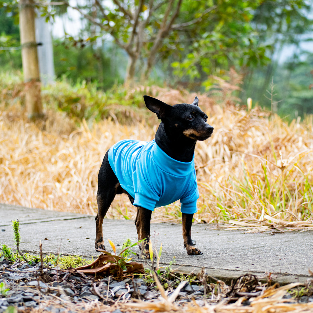 Camiseta doglove#color_azul-celeste