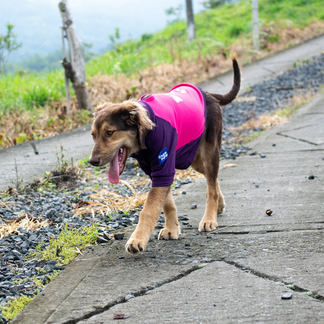 Camiseta doglove#color_fucsia