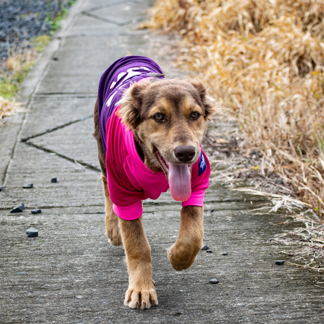 Camiseta doglove#color_morado