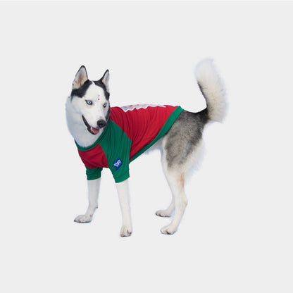 Camisetas navideñas para perros - Family