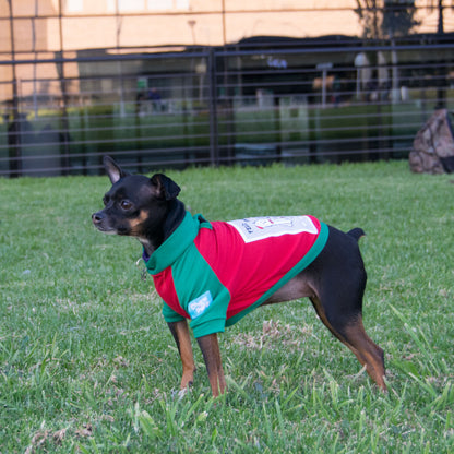 Camisetas navideñas para perros - Family