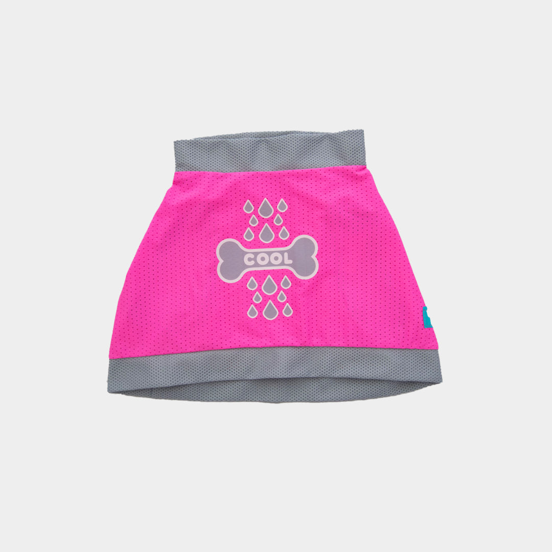 Camiseta-perro-cool-bone#color_fucsia