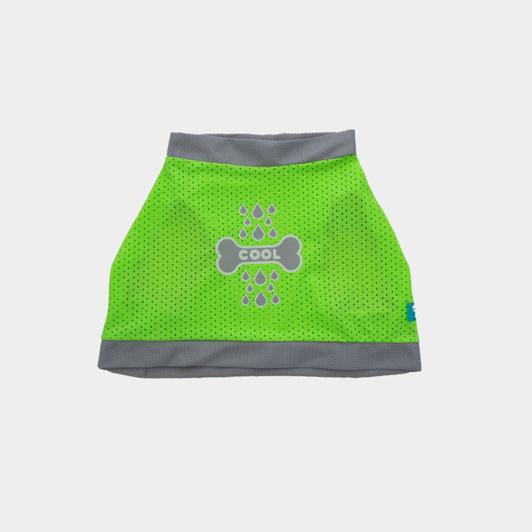 Camiseta-perro-cool-bone#color_verde