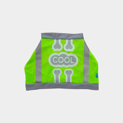 Camiseta-perro-cool-run