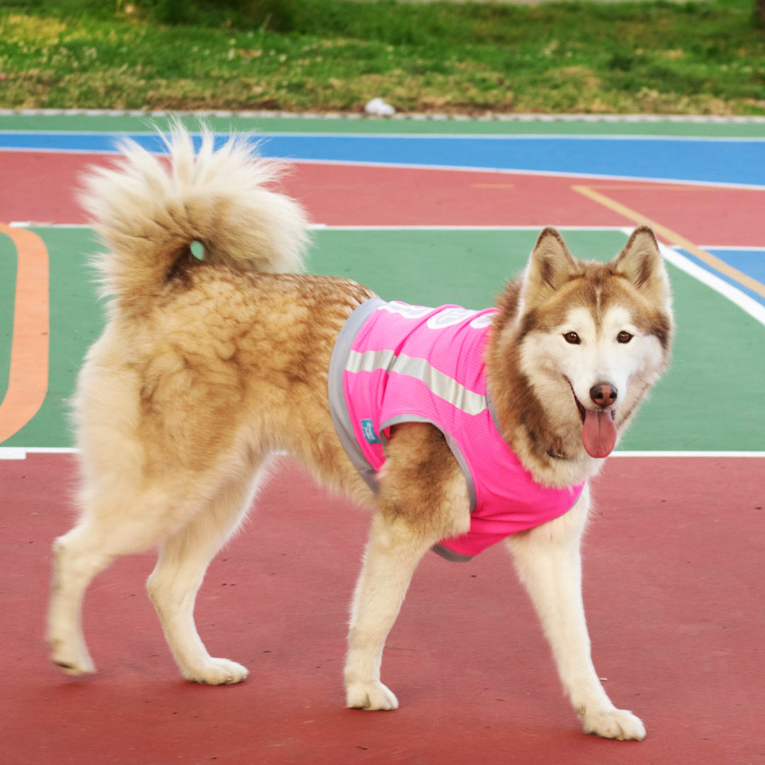 Camiseta-perro-cool-run#color_fucsia