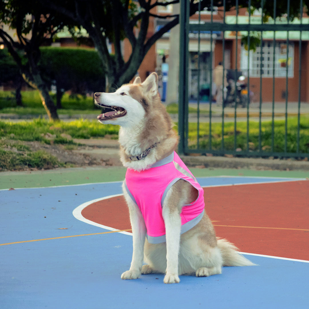Camiseta-perro-cool-run#color_fucsia