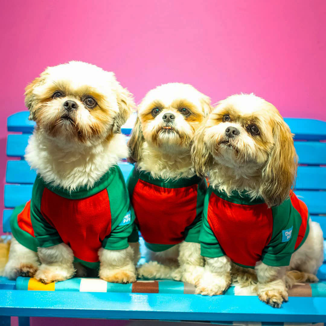 Camisetas navideñas para perros - Merry Christmas